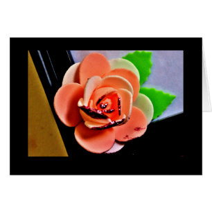 Light Pink Rose