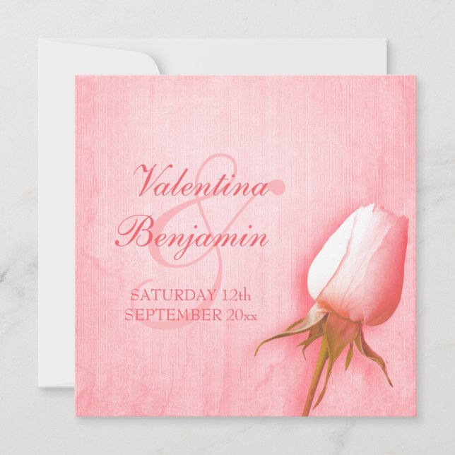Light pink rose bud wedding square invitation (Front)