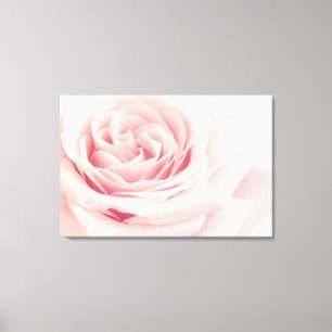 Light Pink Rose Flower - Roses Flowers Floral Canvas Print