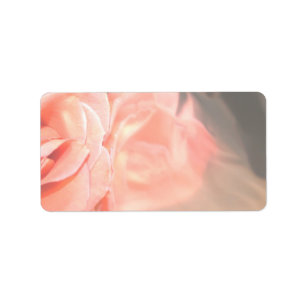 Light pink rose reflection in silver label