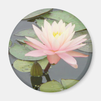 Light Pink Water Lily Round Magnet