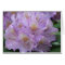 Light Plum Rhododendron in Spring