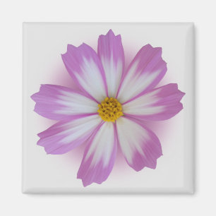 Light purple flower magnet
