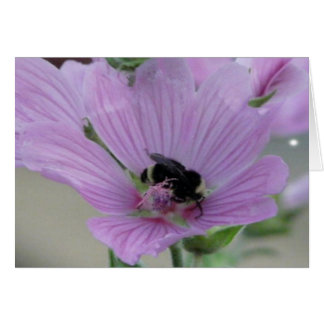 Light Purple Flower With Bee Card