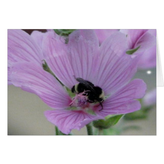 Light Purple Flower With Bee Card (Front Horizontal)