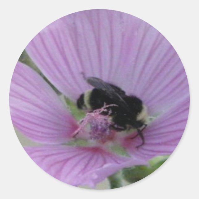 Light Purple Flower With Bee Classic Round Sticker (Front)