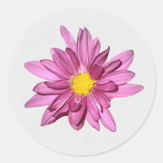 Light Purple Gerbera Stickers