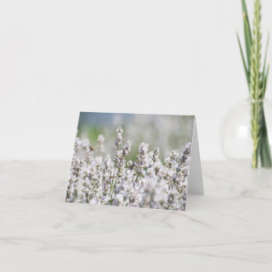 Light Purple Lavender Thank You Card