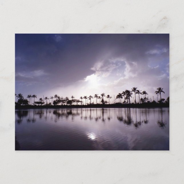 Light reflections in the Lagoon Postcard (Front)