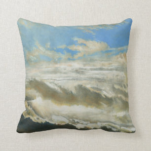Light revealed 2013 cushion