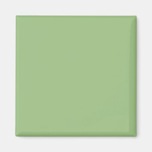 Light Sage Green 9DC183 Colour - Option to Add Nam Magnet