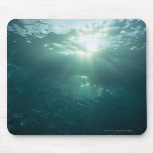 Light shining on coral reef and school of fish mouse pad