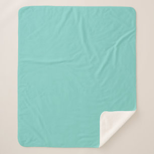 Light Teal Sherpa Blanket