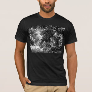 Light Through the Branches T-Shirt