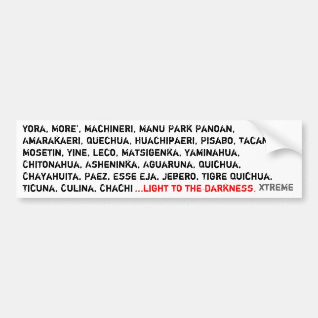 light to the darkness bumper sticker (Front)