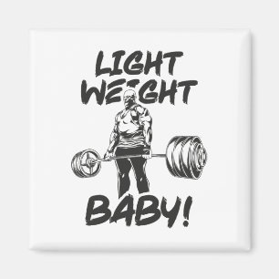 Light Weight Ba2 Magnet