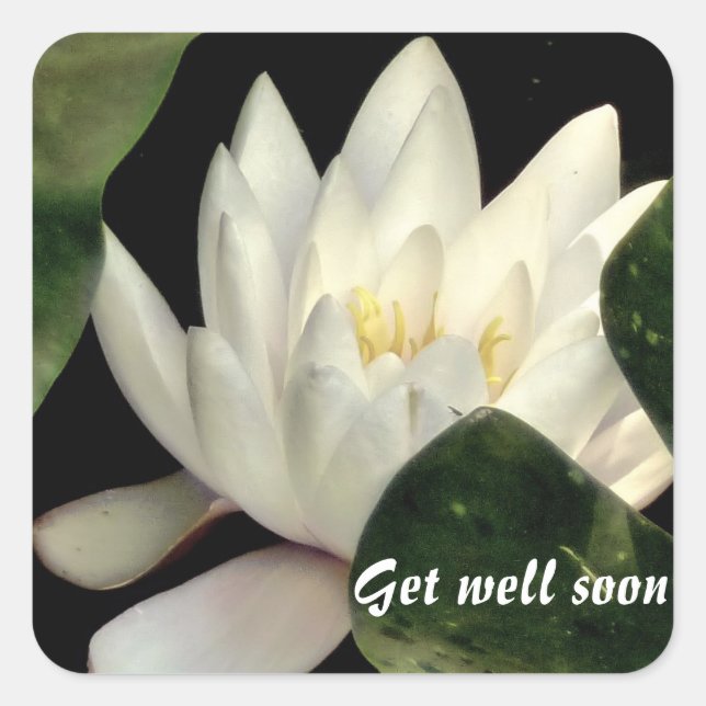 Light within square sticker (Front)