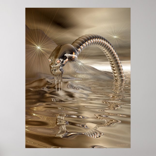 Lightcatcher Poster (Front)