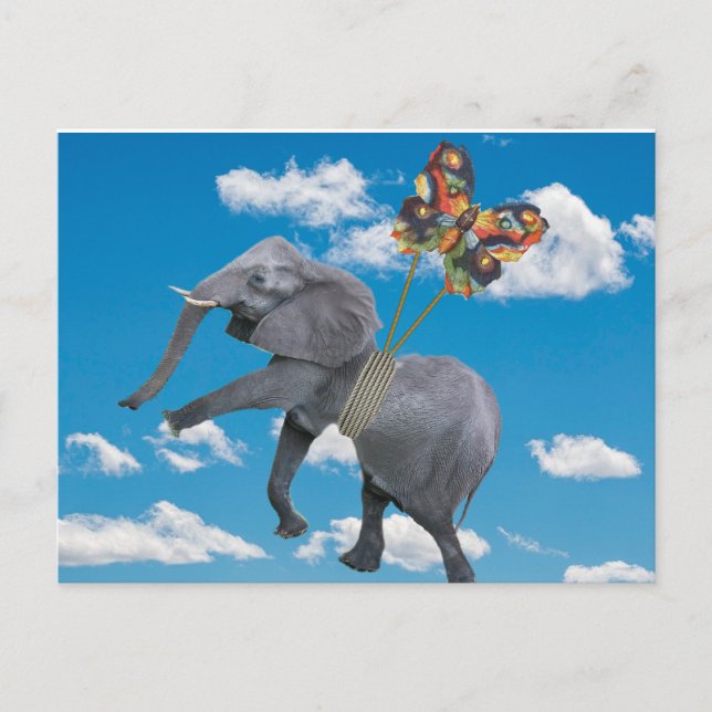 Lighten Up Elephant and Butterfly Postcard (Front)