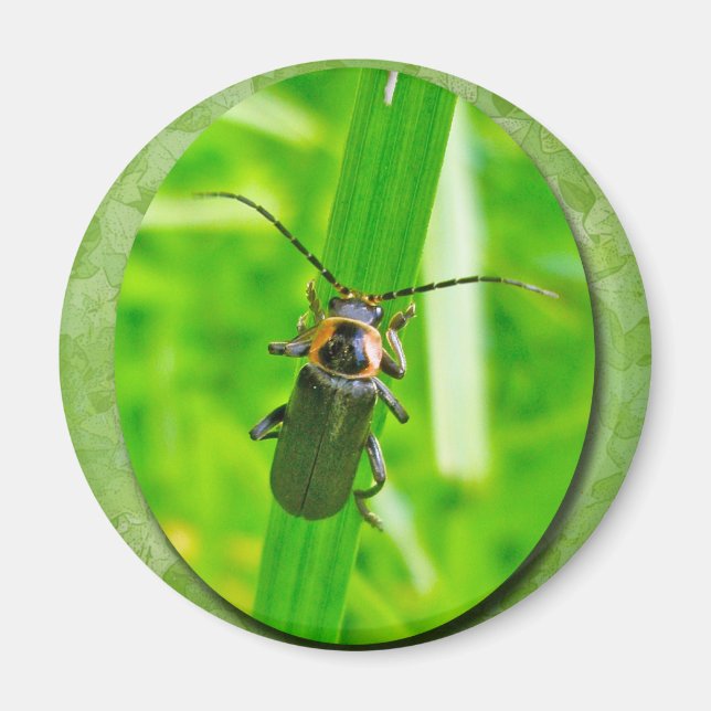 Lightening Bug Magnet (Front)