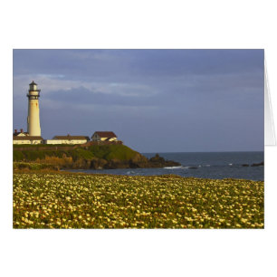 Lighthouse at Pigeon Point State Beach in San