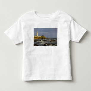 Lighthouse at Pigeon Point State Beach in San 2 Toddler T-Shirt