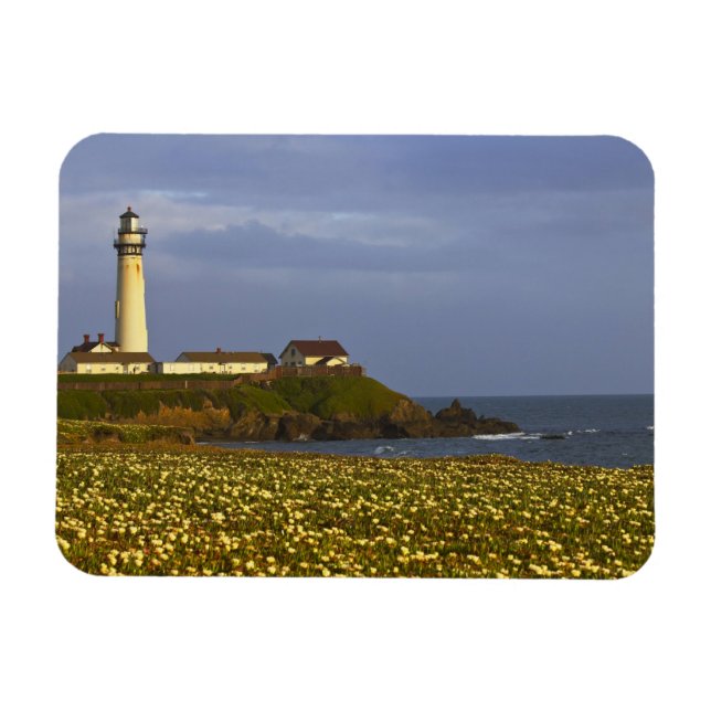 Lighthouse at Pigeon Point State Beach in San Magnet (Horizontal)