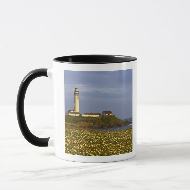 Lighthouse at Pigeon Point State Beach in San Mug (Left)