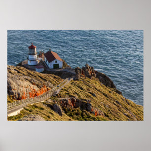 Lighthouse At Point Reyes National Seashore Poster