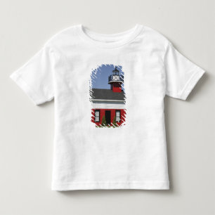 Lighthouse relocated shore in Douglas near Toddler T-Shirt