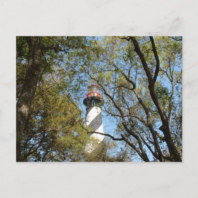 LIGHTHOUSE THROUGH THE TREES POSTCARD (Front)