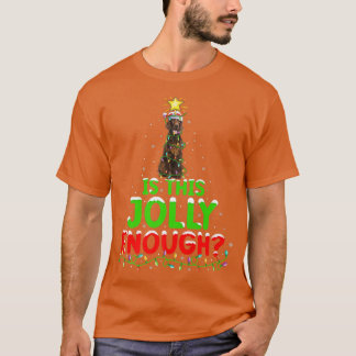 Lighting Is This Jolly Enough Irish Setter Christm T-Shirt