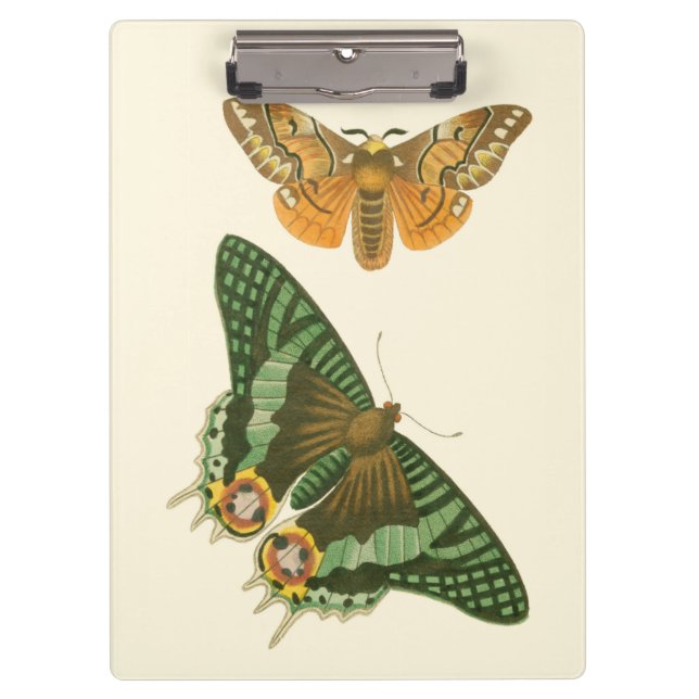 Lightly Bordered Butterfly Painting Clipboard (Front)