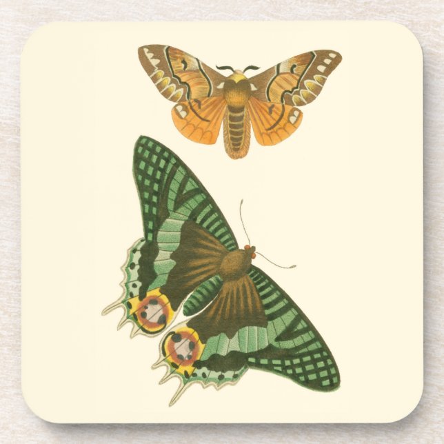 Lightly Bordered Butterfly Painting Coaster (Front)