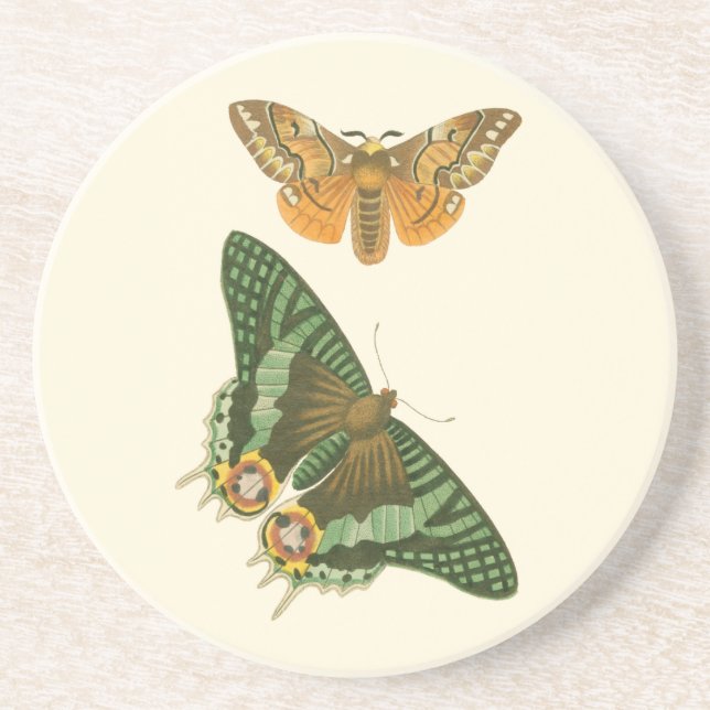 Lightly Bordered Butterfly Painting Coaster (Front)