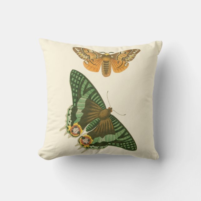 Lightly Bordered Butterfly Painting Cushion (Front)