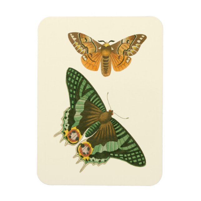 Lightly Bordered Butterfly Painting Magnet (Vertical)