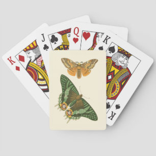 Lightly Bordered Butterfly Painting Playing Cards