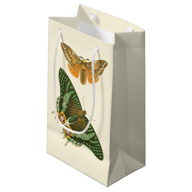 Lightly Bordered Butterfly Painting Small Gift Bag (Front Angled)