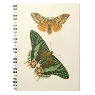 Lightly Bordered Butterfly Painting Spiral Notebook