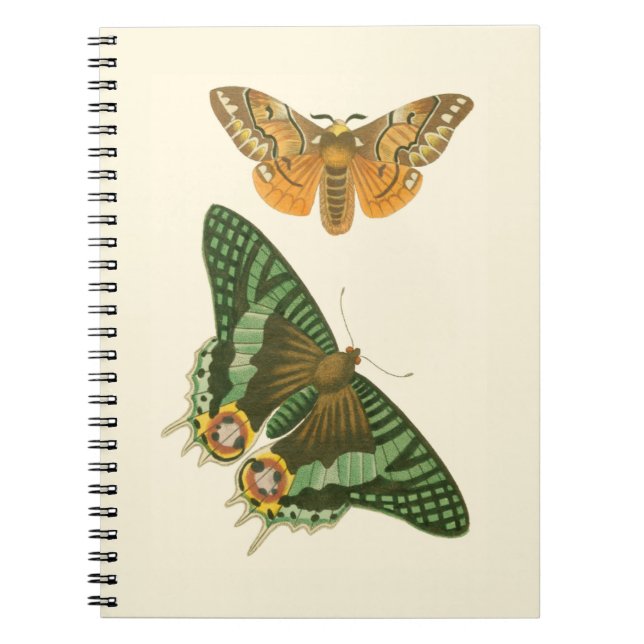 Lightly Bordered Butterfly Painting Spiral Notebook (Front)