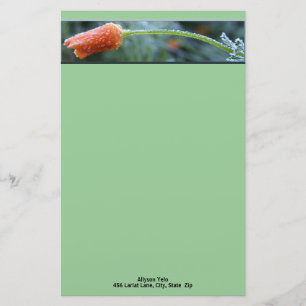Lightly Frosted California Poppy Personalised Stationery