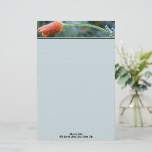 Lightly Frosted California Poppy Personalised Stationery