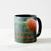 Lightly Frosted California Poppy Photo Custom