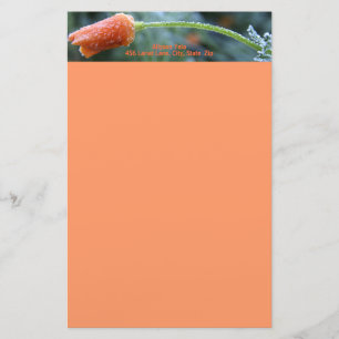 Lightly Frosted California Poppy Stationery