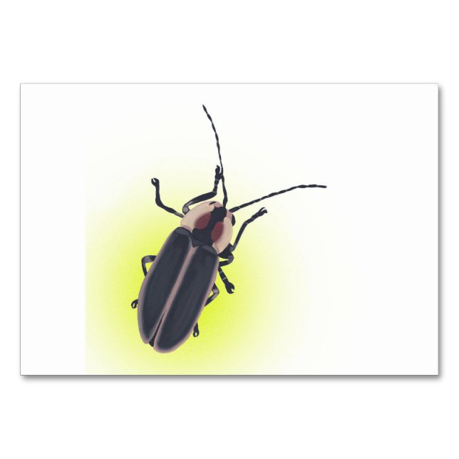 Lightning Bug, Firefly, Insect Reading Flashcards Table Number (Front)