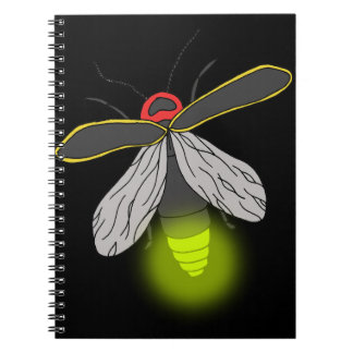 lightning bug flight lit notebook