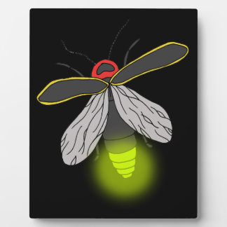 lightning bug flight lit plaque