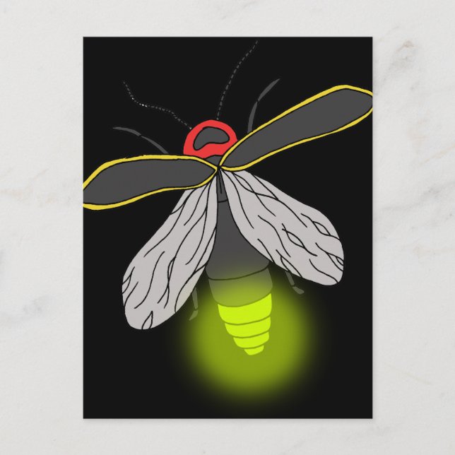 lightning bug flight lit postcard (Front)
