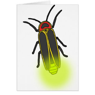 lightning bug lit